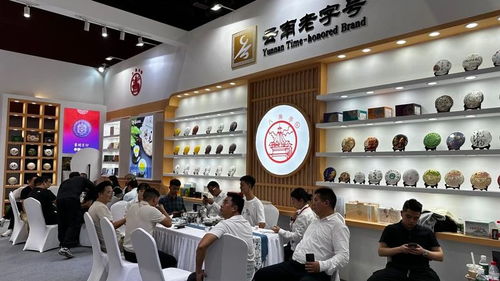廣州秋季茶博會(huì)首日盛況 云南云墾茶業(yè)展位人氣爆棚，展覽服務(wù)亮點(diǎn)紛呈
