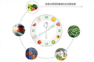 燃油車時代謝幕，物聯(lián)網(wǎng)如何重塑農(nóng)產(chǎn)品產(chǎn)銷新生態(tài)