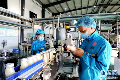 江西廣昌 工廠生產(chǎn)忙 奮戰(zhàn) 開(kāi)門紅